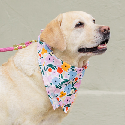 A light-colored Labrador wearing a colorful floral bandana with pink, yellow, orange, and blue flowers and green leaves on a white background. The dog is on a pink rope leash with gold hardware and is looking off to the side with a relaxed, happy expression.