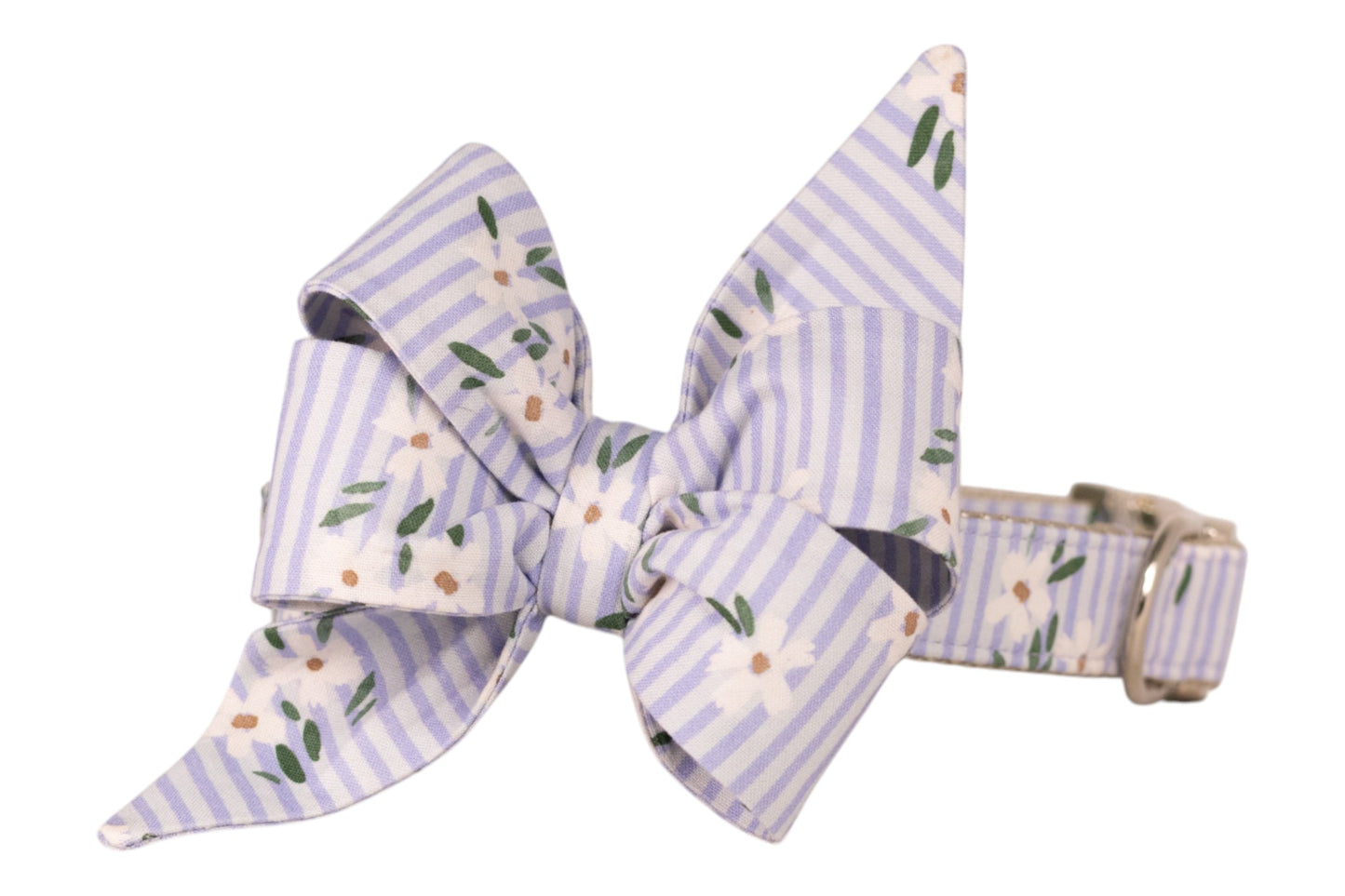 Dog collar with a large, pointed bow in soft blue and white stripes and a white daisy print, complemented by a shiny silver D-ring and clasp.