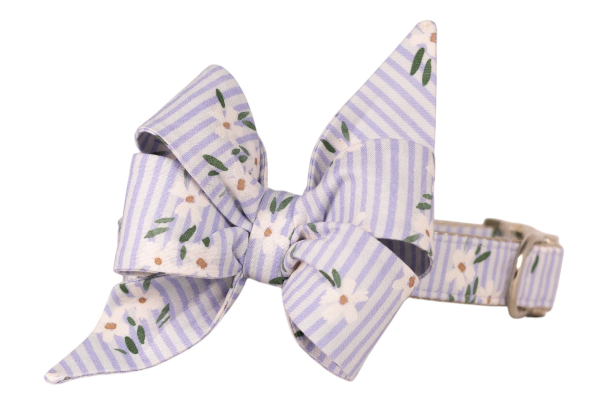 Dog collar with a large, pointed bow in soft blue and white stripes and a white daisy print, complemented by a shiny silver D-ring and clasp.
