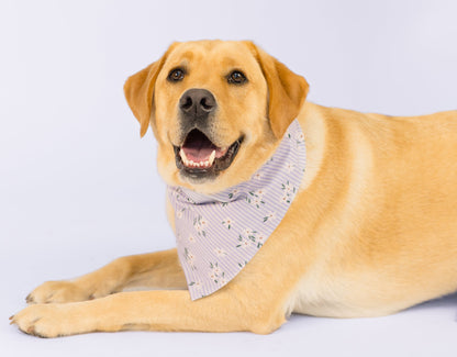 A golden Labrador retriever lies on a light lavender backdrop, facing forward with a wide, happy expression. The dog is wearing a soft blue bandana decorated with thin white stripes and small floral designs, adding a sweet, delicate touch to its cheerful demeanor.
