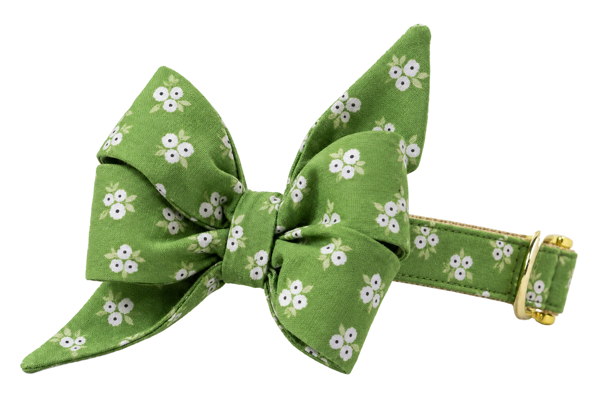 Dog collar featuring a large belle bow in Olive Blooms fabric, an olive green fabric with small clusters of white flowers, attached to a matching Olive Blooms collar with a nylon inner lining and gleaming gold hardware, including a D-ring and buckle.