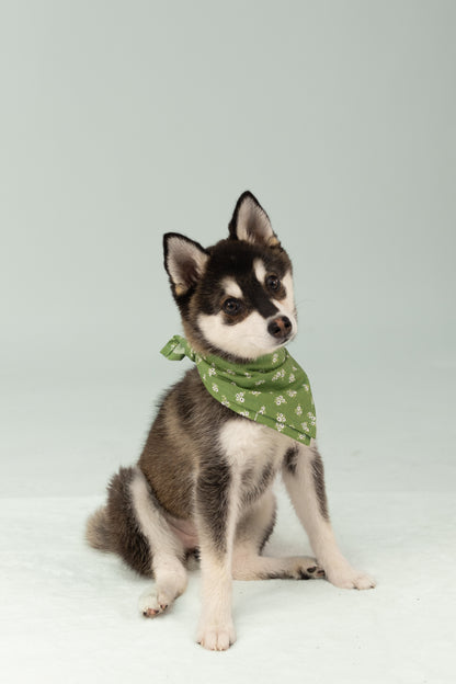 A small puppy with upright ears sits on a pale backdrop, wearing a green cotton bandana tied around its neck. The bandana features a delicate floral and vine pattern, adding a touch of charm to the dog’s curious head tilt.