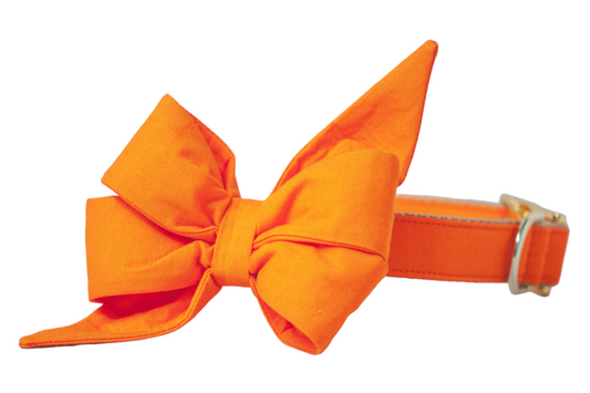 Dog collar with an oversized belle bow in solid bright orange fabric, featuring sturdy adjustable hardware. The bold color makes it a standout accessory for everyday wear or festive fall occasions like Halloween and pumpkin patch outings.