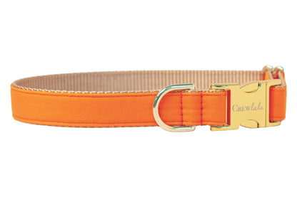 Solid orange pet collar with polished buckle and D-ring. A versatile accessory perfect for fall, Halloween, or adding a cheerful pop of color.