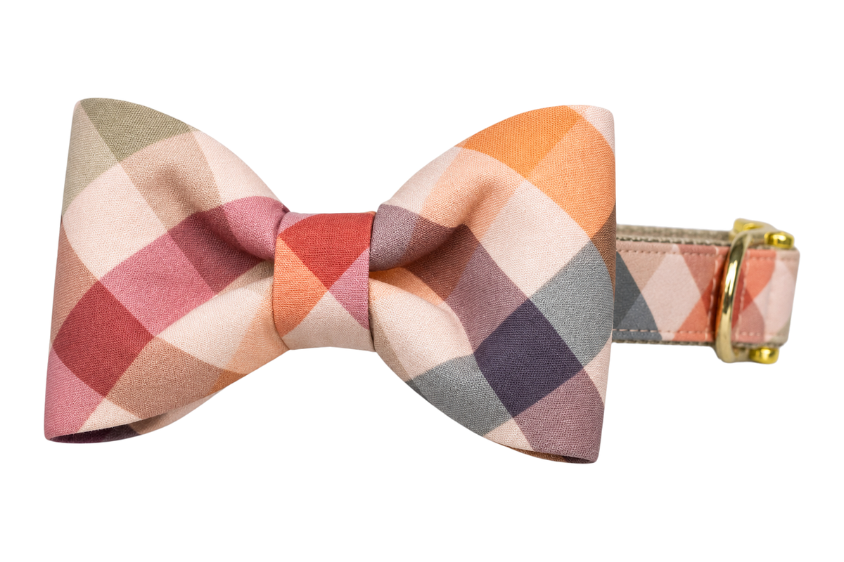 Classic dog collar featuring a Orchard Plaid fabric bow tie, a large check plaid in peach, orange, charcoal gray, rose and cream, attached to a matching Orchard Plaid collar with a nylon inner lining and gleaming gold hardware, including a D-ring and buckle.