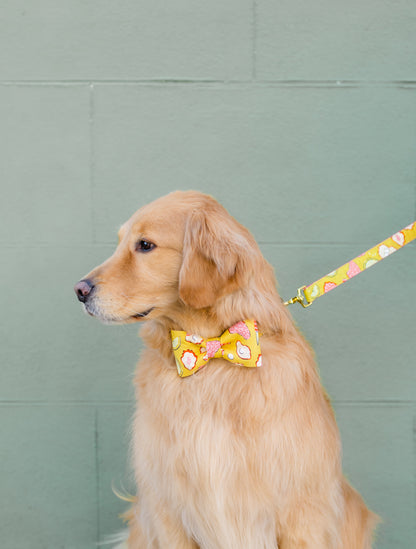 Side profile of a golden retriever sitting against a green wall, styled in a cheerful yellow bow tie and matching leash set printed with colorfull oyster themed illustrations. The dog’s long fur and composed posture create a polished, fashion-forward look.