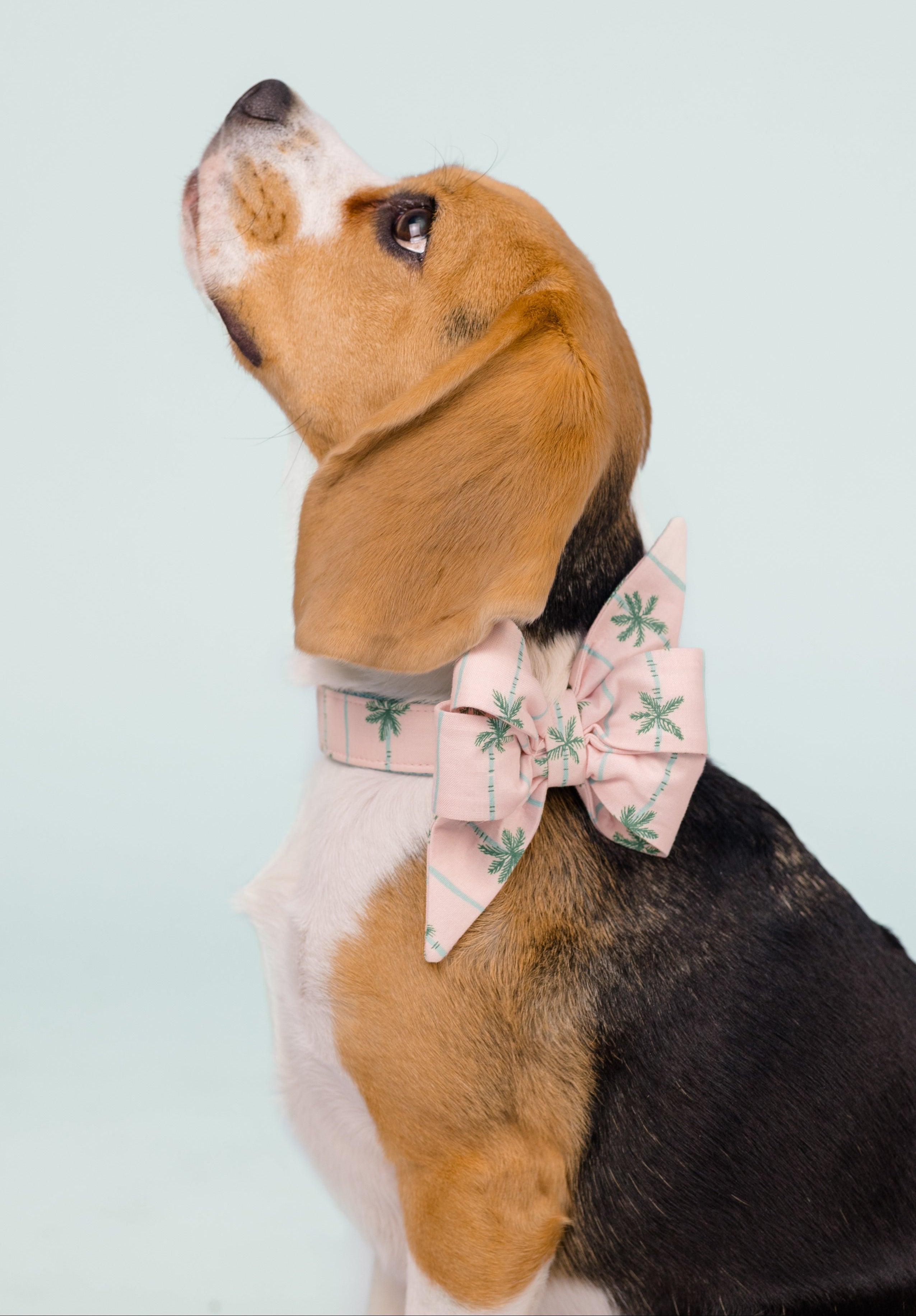 Tri-color beagle with floppy ears poses in profile, wearing a stylish palm-print bow tie and looking upward against a pale blue background.