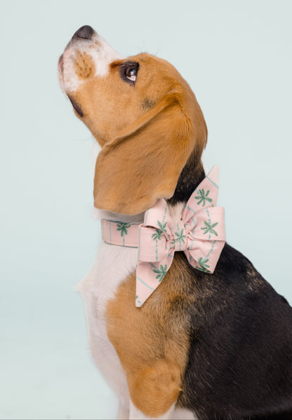 Tri-color beagle with floppy ears poses in profile, wearing a stylish palm-print bow tie and looking upward against a pale blue background.