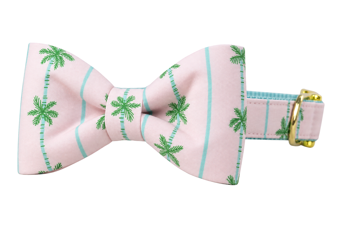 Classic dog collar featuring a Palm Beach fabric bow tie, a pale blush pink fabric with green palm trees and thin mint green vertical stripes, attached to a matching Palm Beach collar with a nylon inner lining and gleaming gold hardware, including a D-ring and buckle.