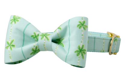 Tropical dog collar in aqua blue, accented with a matching structured bow tie in coordinating palm tree print. Includes gold metal hardware and light blue woven interior.