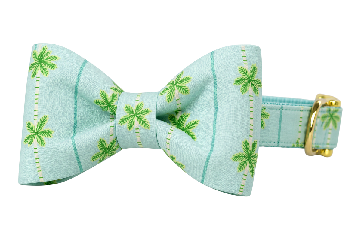 Classic dog collar featuring a Palm Springs fabric bow tie, a pale mint aqua windowpane fabric with small green palm trees, attached to a matching Palm Springs collar with a nylon inner lining and gleaming gold hardware, including a D-ring and buckle.