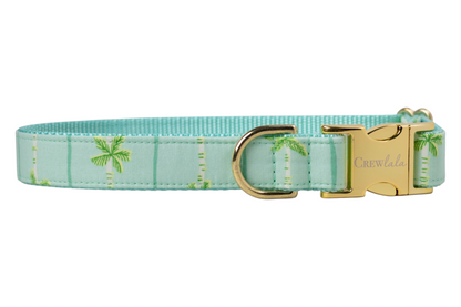 Aqua blue dog collar with a tropical print of green palm trees and vertical stripes, featuring a gold metal buckle, D-ring, and woven teal inner lining. 