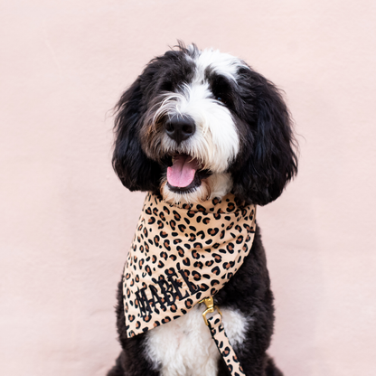 Adorably fierce dog wearing a personalized leopard-print bandana with the name “MABEL” in bold letters—perfectly paired with a matching leash for a wild yet chic look.