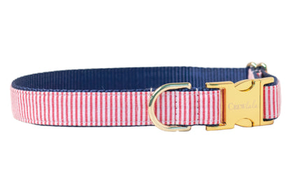 Patriotic-inspired dog collar with a red-and-white candy stripe pattern, navy blue backing, and luxe gold hardware including a sleek buckle and leash ring.