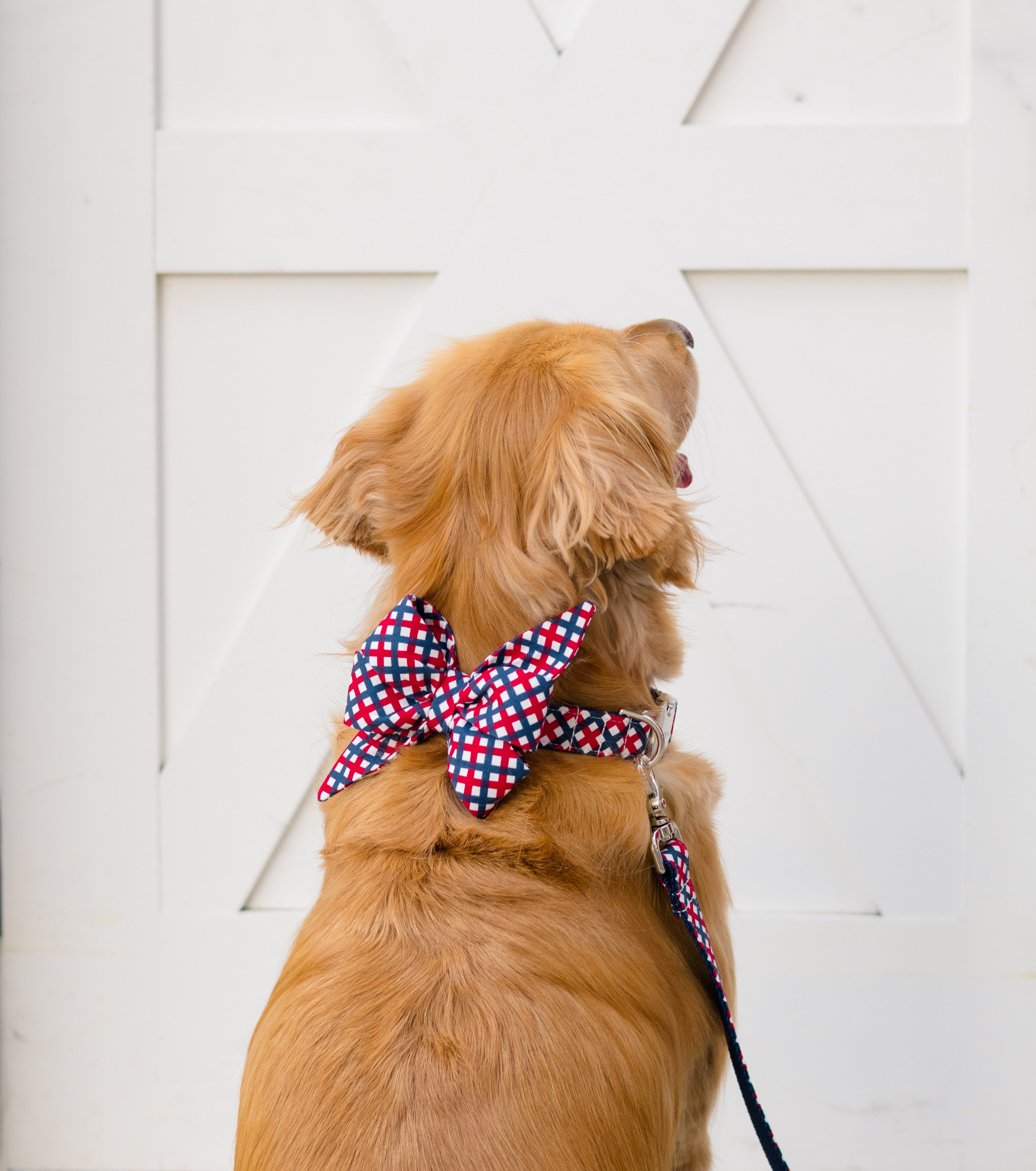 Golden retriever facing away from the camera, wearing a red, white, and blue plaid bow tie and matching leash set. A perfect patriotic look for summer holidays, this accessory adds charm and personality to any pup's wardrobe.