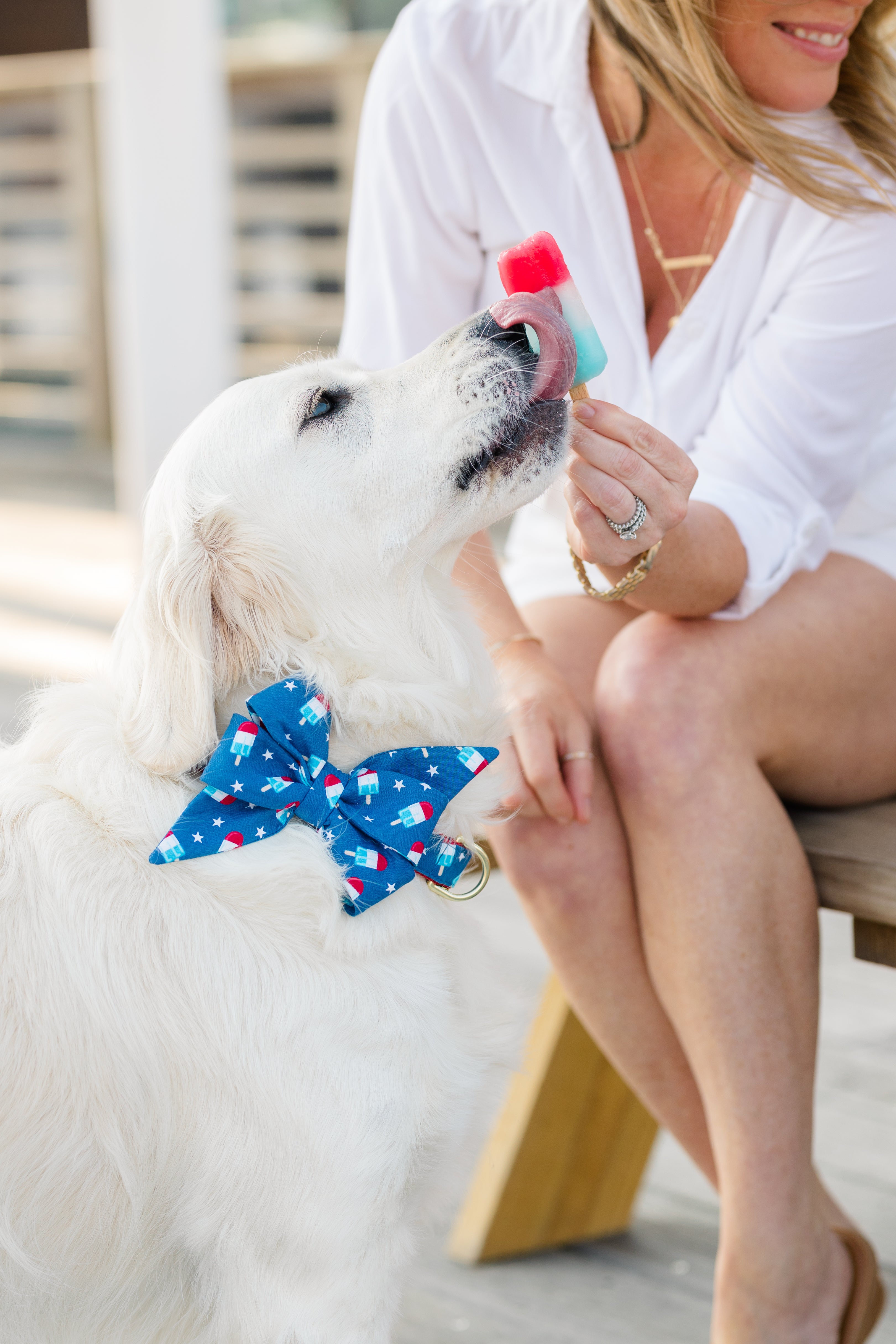 A light golden retriever wearing a blue belle bow with red, white, and blue pop prints licks a red, white, and blue popsicle held by a smiling woman in a white shirt sitting on a wooden bench.