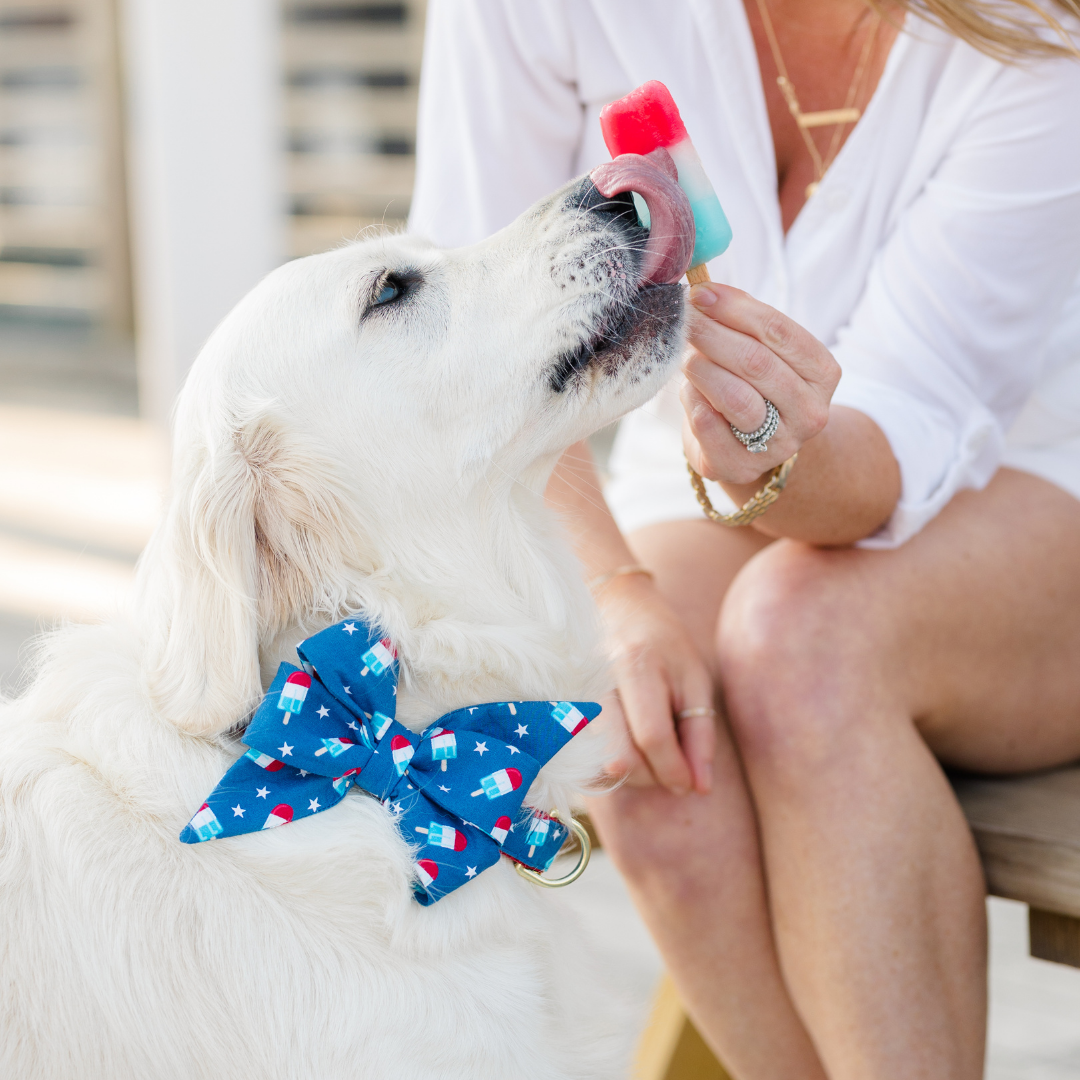 A white golden retriever wearing a blue belle bow collar set with red, white, and blue rocket pop prints licks a red, white, and blue popsicle held by a smiling woman in a white shirt sitting on a wooden bench.