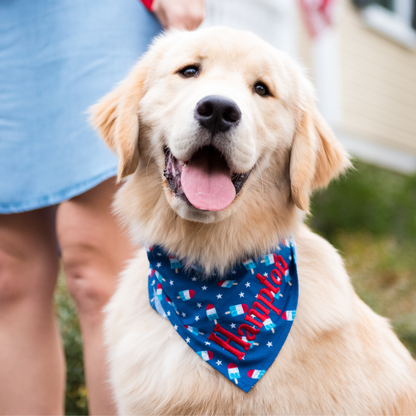 A happy golden retriever wearing a blue bandana printed with white stars and red, white, and blue rocket popsicles, personalized with the name “Hampton” embroidered in red thread. The dog stands next to a person in a light blue dress holding a red leash, with a house and American flag visible in the background.