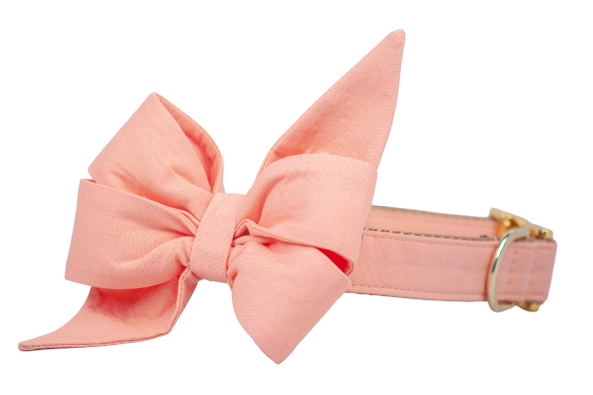 Soft peach pink fabric belle bow attached to a coordinating collar with gold hardware. The belle bow is oversized with crisp pointed ends, while the collar features reinforced stitching and a metallic gold D-ring and clasp.