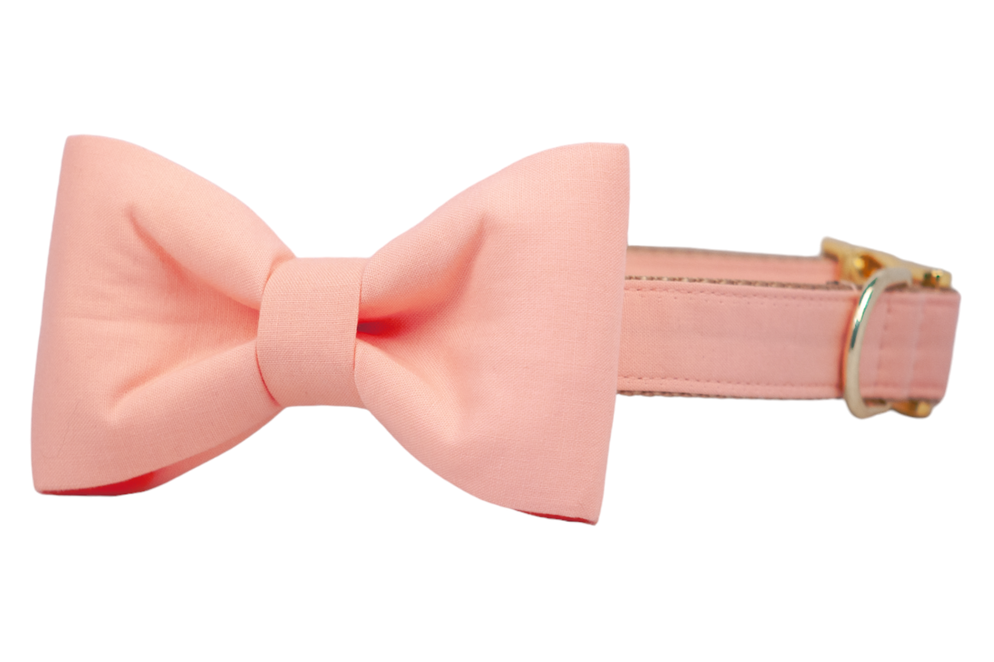 Soft peach pink fabric bow tie attached to a coordinating collar with gold hardware. The bow tie has a classic shape while the collar features reinforced stitching and a metallic gold D-ring and clasp.