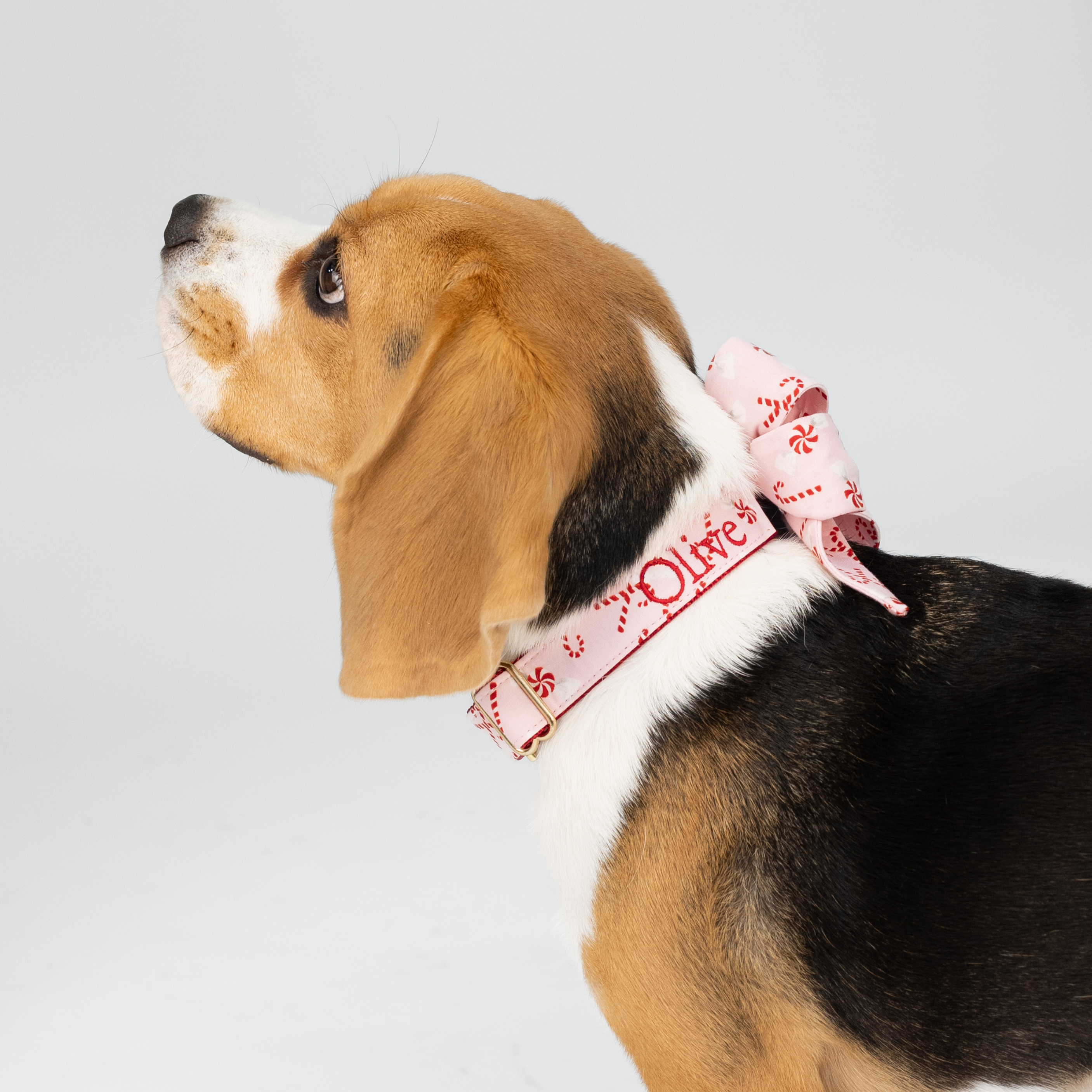 Peppermint Pup Belle Bow Dog Collar