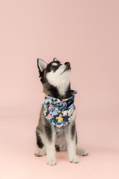 Wearing a statement bandana with a colorful floral pattern, the pup’s accessory combines soft fabric and a mix of cool and warm tones—tied neatly around the neck and branded with a small label.