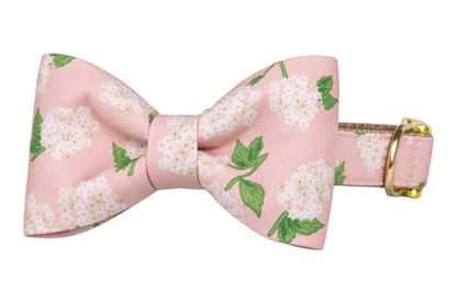 Classic dog collar featuring a Pink Hydrangeas fabric bow tie, a soft blush pink fabric with white hydrangea clusters and green leaves, attached to a matching Pink Hydrangeas collar with a nylon inner lining and gleaming gold hardware, including a D-ring and buckle.