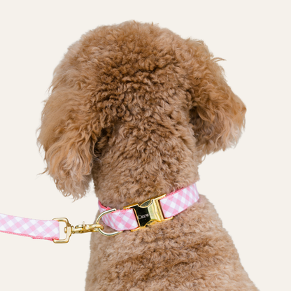 Back of a fluffy dog with a soft pink plaid collar and matching leash, detailed with shiny luxe fittings.