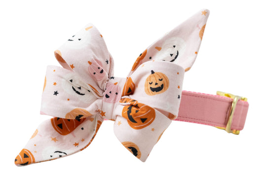 A soft pink dog collar with polished metal buckle accents and an attached large Halloween-themed belle bow. The bow features cartoon-style pumpkins with carved faces, plus tiny stars sprinkled throughout. The festive design combines playful charm with holiday spirit.