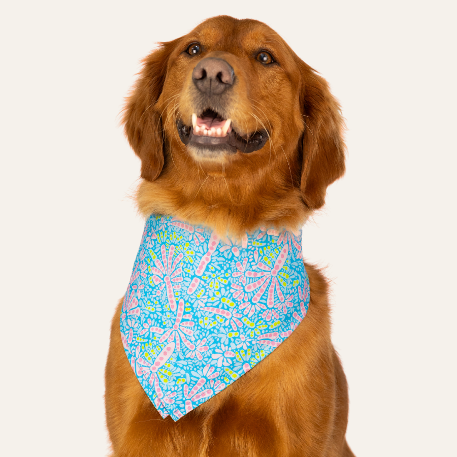Happy dog showing off a blue bandana with pink flowers and playful pastel patterns against a light background.