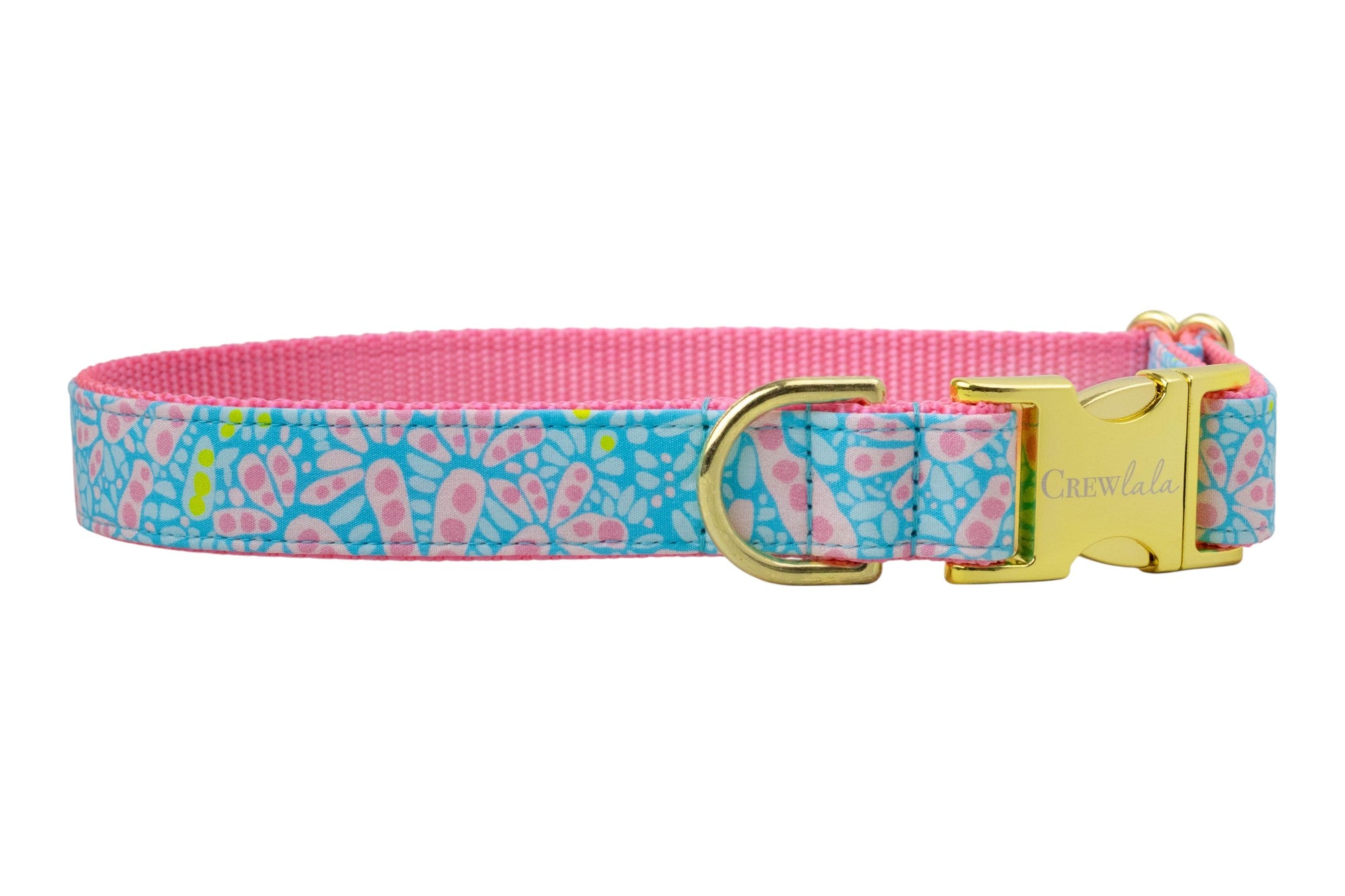 Colorful dog collar with a vibrant background and scattered floral print in pink, finished with shiny buckle and D-ring