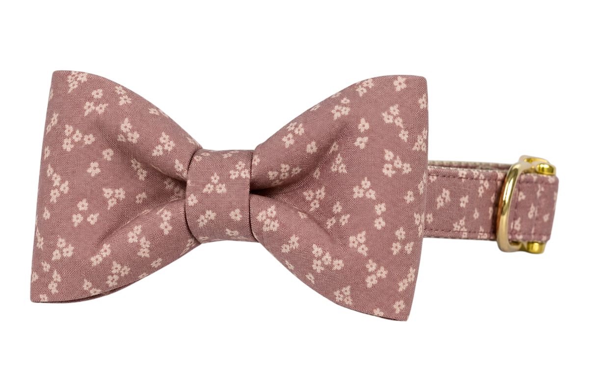 Classic dog collar featuring a Precious Posey fabric bow tie, a dusty mauve rose fabric with tiny cream flowers, attached to a matching Precious Posey collar with a nylon inner lining and gleaming gold hardware, including a D-ring and buckle.