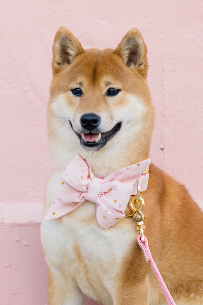 Close-up of a smiling Shiba Inu dressed in a pastel pink bow tie with subtle gold dots, attached to a pink leash with gold hardware.