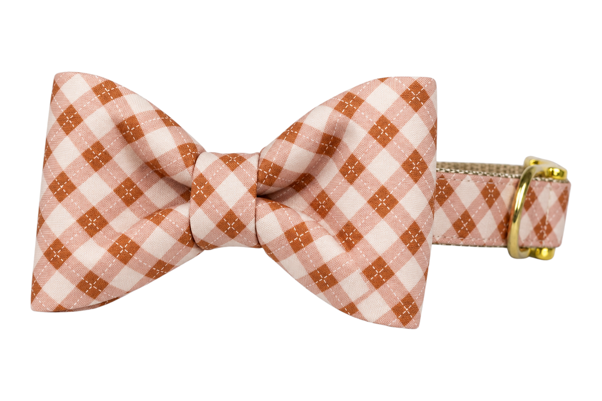 Classic dog collar featuring a Prosecco Plaid fabric bow tie, a diagonal gingham check in rust brown and blush pink, attached to a matching Prosecco Plaid collar with a nylon inner lining and gleaming gold hardware, including a D-ring and buckle.