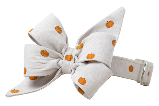 A beige dog collar with an attached oversized belle bow, both featuring a repeating pattern of small pumpkins. The belle bow has layered loops and long, pointed tails for a festive, structured look. The collar includes polished hardware and reinforced stitching. A charming accessory for Halloween or autumn-themed events.