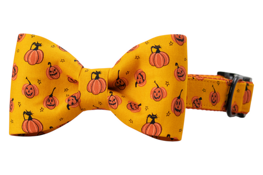 Halloween-themed dog collar with a large matching bow tie, showcasing a fun print of smiling jack-o'-lanterns, cats, and stars on orange fabric.