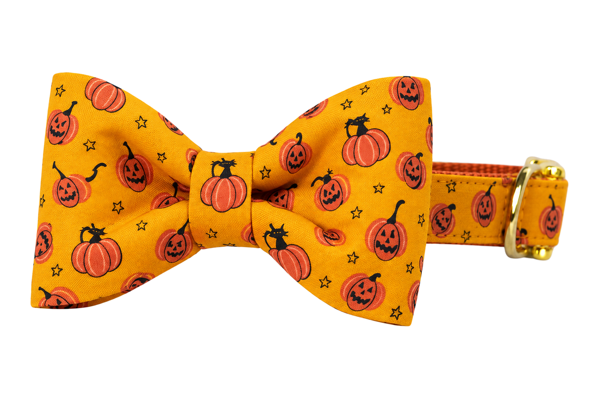 Classic dog collar featuring a Pumpkin Tails fabric bow tie, a golden orange fabric with small jack-o-lanterns and orange pumpkins, attached to a matching Pumpkin Tails collar with a nylon inner lining and gleaming gold hardware, including a D-ring and buckle.