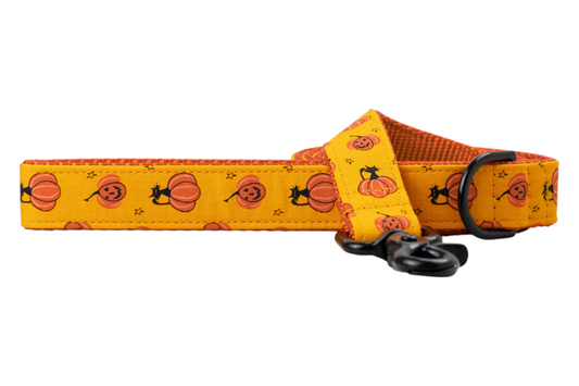 Close-up of a Halloween-themed dog leash with playful jack-o'-lanterns and cat silhouettes on a vivid orange fabric, fitted with metal hardware.