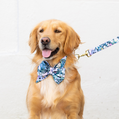 Retriever posing in a coordinated dog accessory set, including a bold floral belle bow dog collar and leash in soft purple tones. The matching leash is attached to a clasp on the collar, and the dog is sitting against a plain white background.