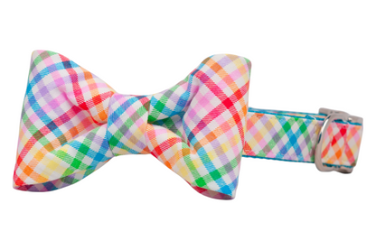 Colorful dog bow tie collar in a bright rainbow plaid print, with intersecting diagonal stripes and a polished silver clasp and D-ring for leash attachment.