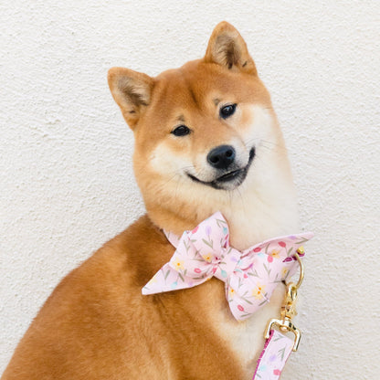 Fluffy Shiba Inu with perked ears and a gentle expression, styled in a pastel pink floral bow tie and coordinating collar, sitting against a light-colored backdrop.