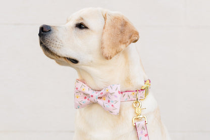 Profile view of a Labrador dog in a coordinated pastel pink leash, collar, and bow tie with a delicate floral print.