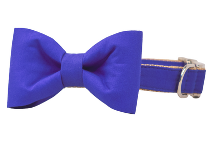 Fashionable royal blue pet collar with a structured fabric bow tie and beige backing, equipped with an adjustable silver buckle and D-ring for leash attachment.