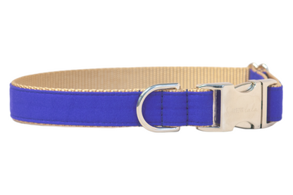 A sleek dog collar with royal blue fabric on the outer side and a beige woven inner lining, finished with silver hardware including a curved side-release buckle and a sturdy D-ring.