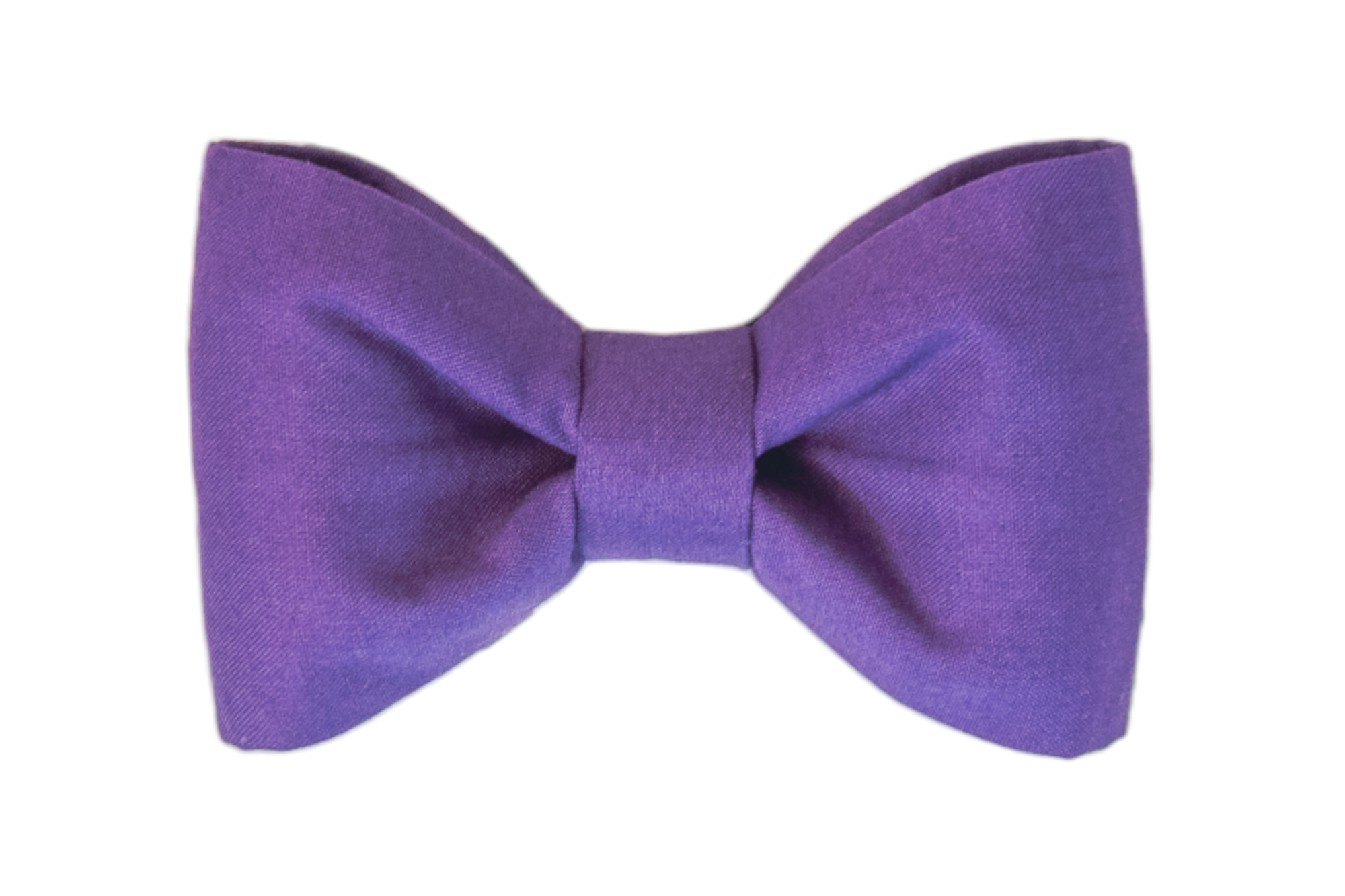 Solid purple dog bow tie, a bold, classic,  and stylish accessory perfect for Halloween dress-up or everyday sophistication.