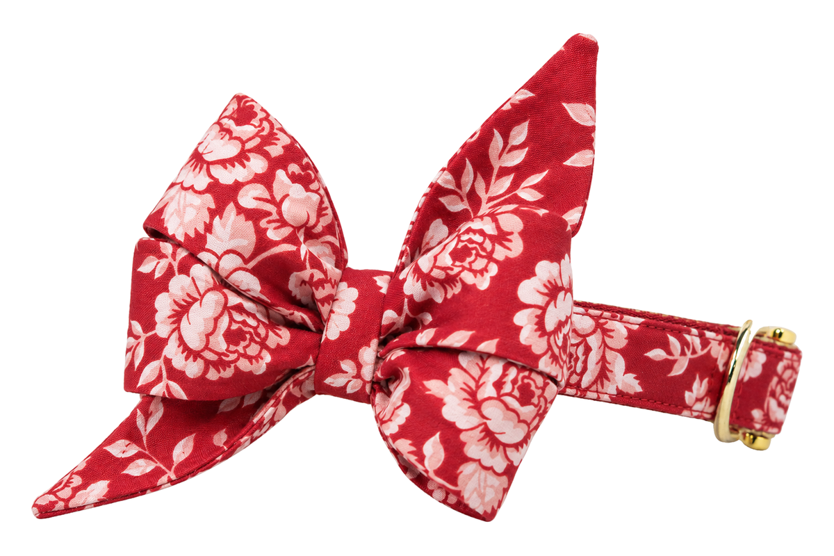 Dog collar featuring a large belle bow in Ruby Roses fabric, a ruby red fabric with large blush pink and white roses, attached to a matching Ruby Roses collar with a nylon inner lining and gleaming gold hardware, including a D-ring and buckle.