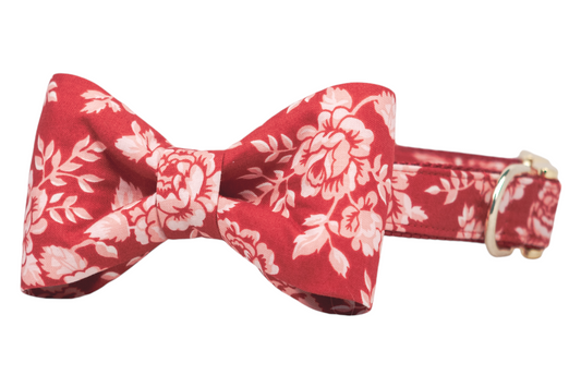 Dog collar with an attached red floral bow tie in a vintage rose print. The adjustable collar has metal hardware and is crafted from the same red fabric with light botanical detailing. Handmade in Charleston, SC.