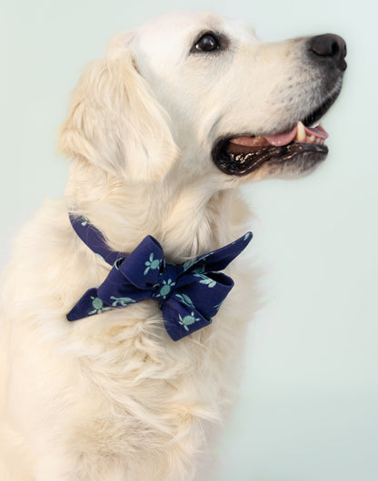 Close-up side profile of a fluffy white dog, a Golden Retriever, against a pale mint background. The dog is wearing a large navy blue bell bow dog collar adorned with light teal turtles, and it looks upward with a gentle, content expression.
