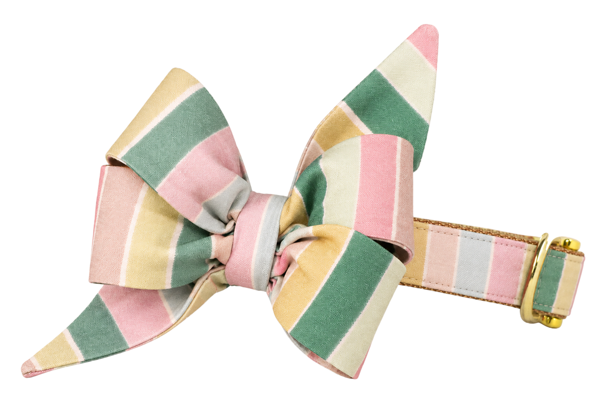Dog collar featuring a large belle bow in Sandy Stripes fabric, wide vertical stripes in blush pink, sage green, butter yellow, pale gray and cream, attached to a matching Sandy Stripes collar with a nylon inner lining and gleaming gold hardware, including a D-ring and buckle.