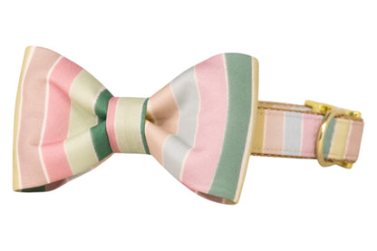 A dog collar with an attached matching bow tie, featuring wide pastel stripes in shades of pink, green, beige, and cream, finished with a gold buckle and hardware.